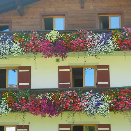 Apart Martlhof 2*