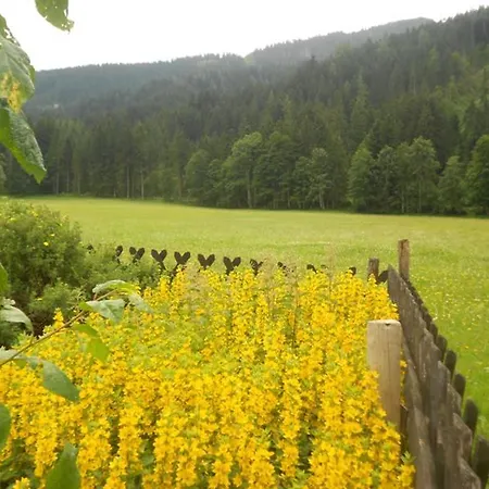 Apart Martlhof Guest house 2*